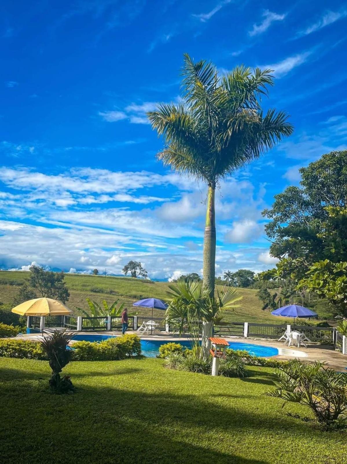 Finca Hotel Palmas Frente A Panaca Quimbaya Εξωτερικό φωτογραφία
